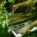 Organic Rhodes