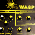 Wasp